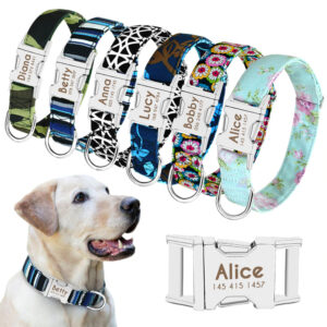 Collar de perro personalizado de nailon para mascotas