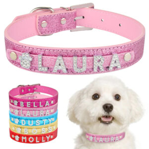 Collar de perro personalizado Encantos de diamantes de imitación de cuero Bling