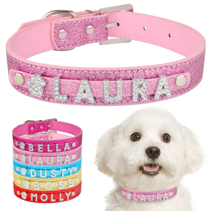 Collar de perro personalizado Encantos de diamantes de imitación de cuero Bling
